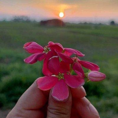 🌇 Sunset