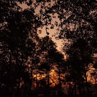 Nature's heart