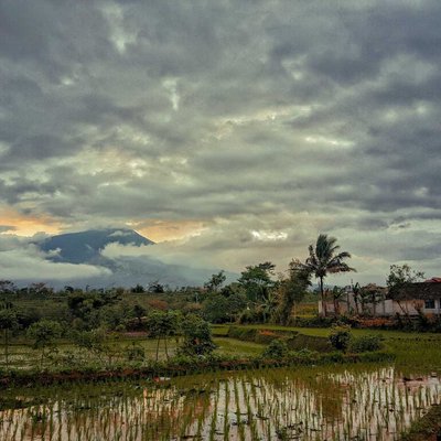 my village