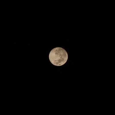 Last Full Moon of 2024(Cold Moon)