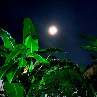 fakta unik tentang bulan