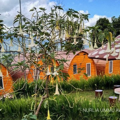 Rumah Kuraci D'Sawah Malino 