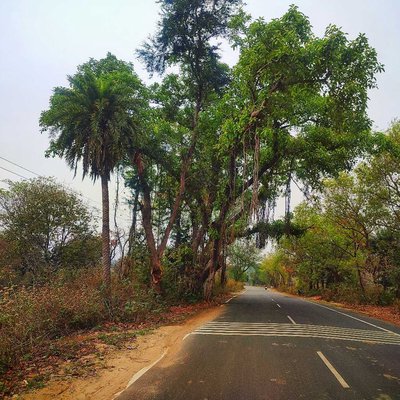beautiful view of road