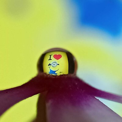 Macro 