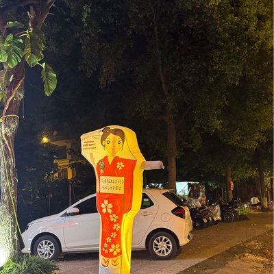 🇻🇳