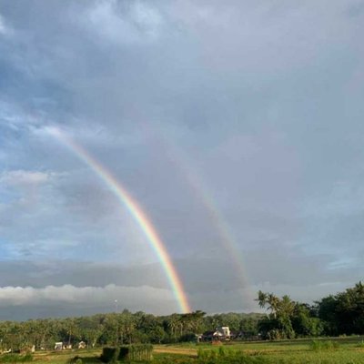 - Double Rainbow - 