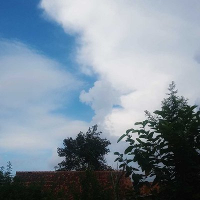 Awan