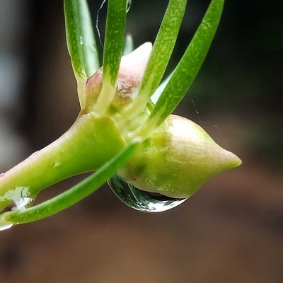 The Tiny Droplet💦