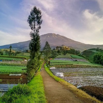 indahnya sunrise di lereng gunung