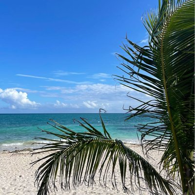 Tulum 🇲🇽
