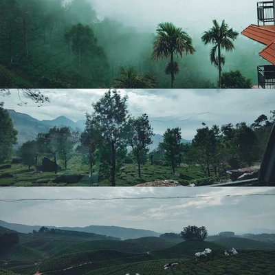 Kerala Nature