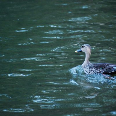 Ooty Lake, India
