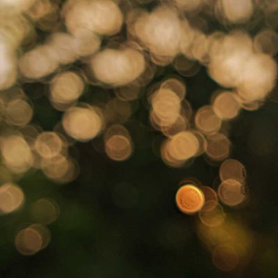 bokeh ✨