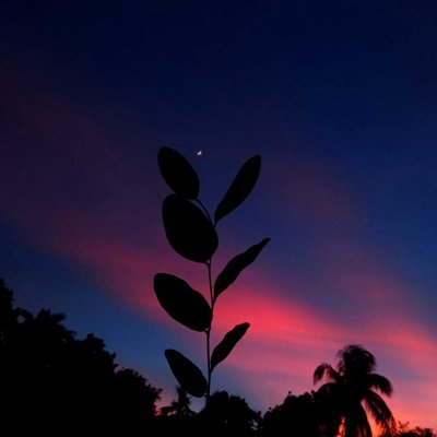 Beautiful Sunset🌅💓