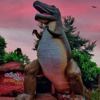 📍Nandankanan Zoological Park