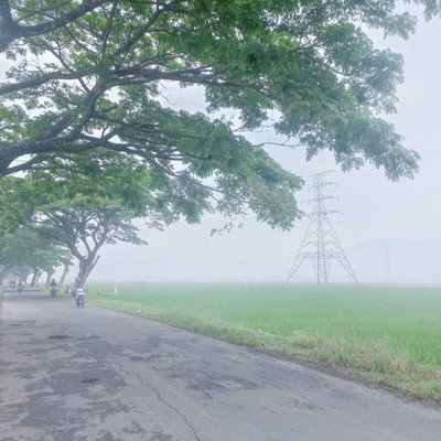 Kabut