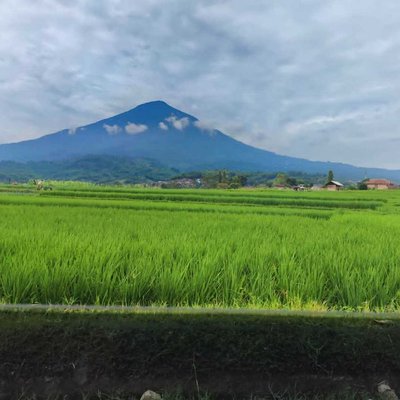 Gunung Cikuray