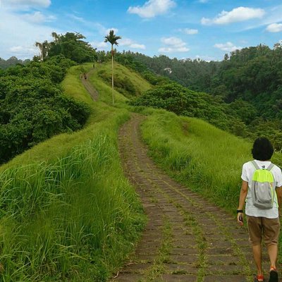 get walks, get health