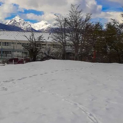 Primavera fueguina ❄