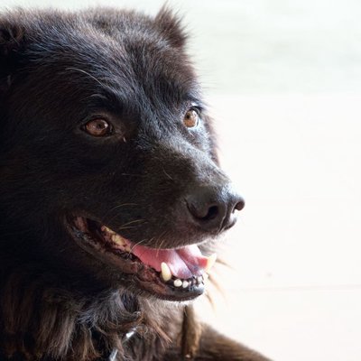 family member