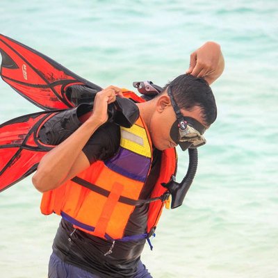 Snorkeling di pulau senoa