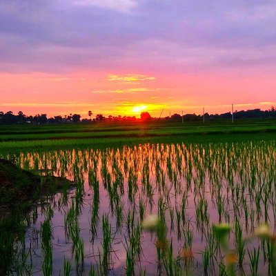 Sunset 🌅
