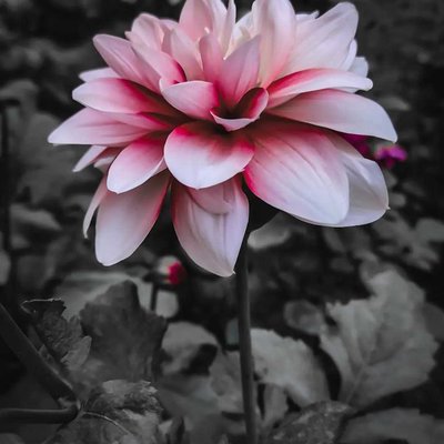 Unsplash shot