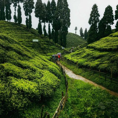 Beauty of Mirik