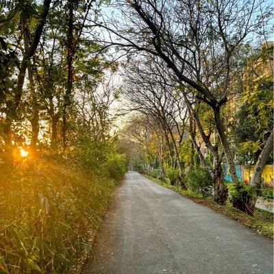 walking track