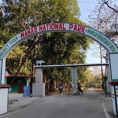 Manas, underated gem of Assam