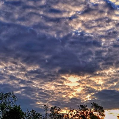 Langit biru