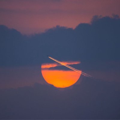 sun kissing 