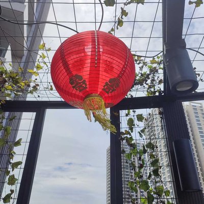 Lampion 