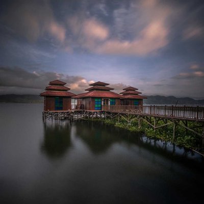 Tree House