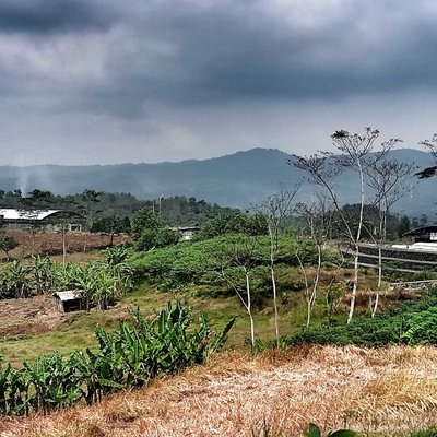Ladang Pertanian dekat TPA BLE