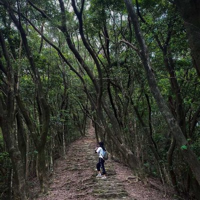 📍Tai To Yan