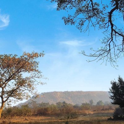 Landscape 