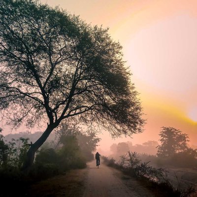 nature's everlasting beauty thats never fade. 