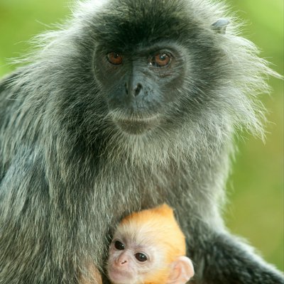 The warmth of the mother hug.