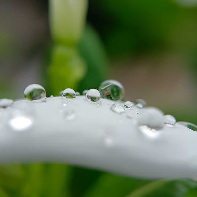 A whole different world inside every drop 💧🌍