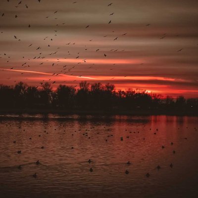 winter sunset