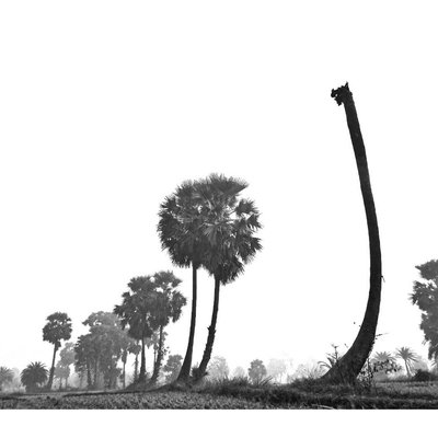 Natural View