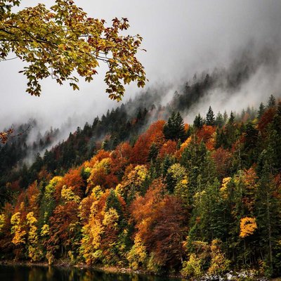 Autumn is comming 🍃