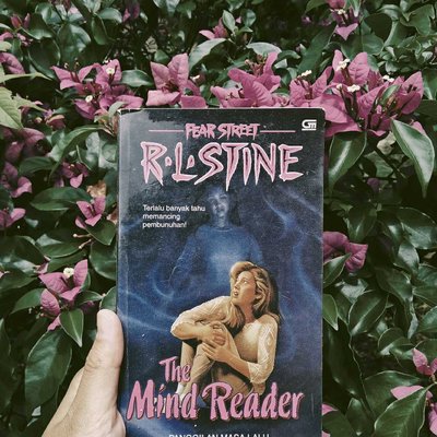 The Mind Reader by R.L. Stine
