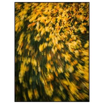 Nature Painting 