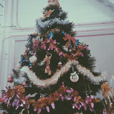 Christmas Tree