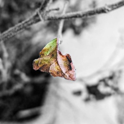 Colorsplash photography 