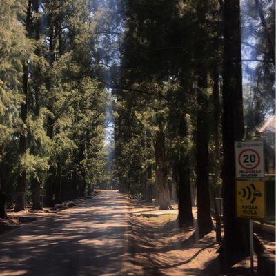 Parque Leloir🌲