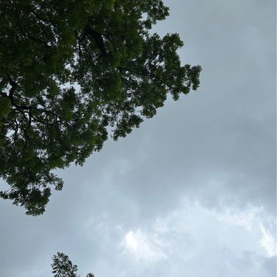 A rainy day