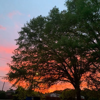 atardeceres